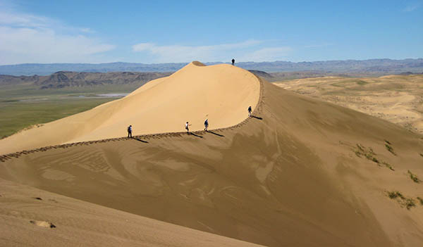 Rando Cheval Mongolie