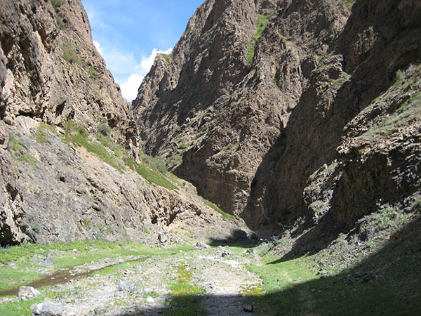 Rando Cheval Mongolie