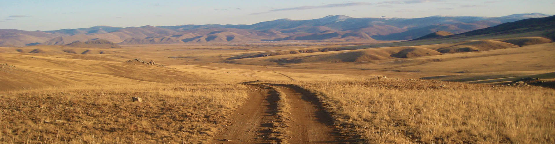 Rando Cheval Mongolie