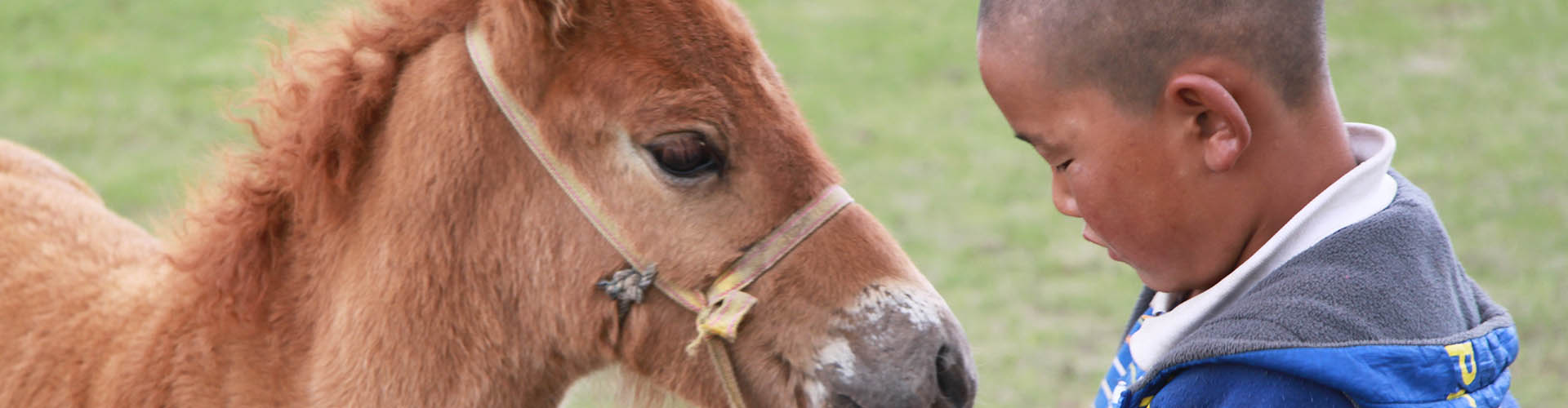 Voyage famille avec enfants en Mongolie