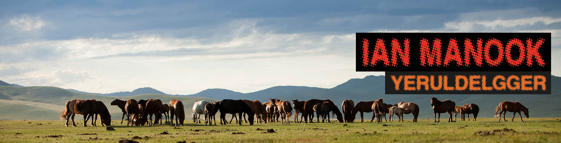 Rando Cheval Mongolie