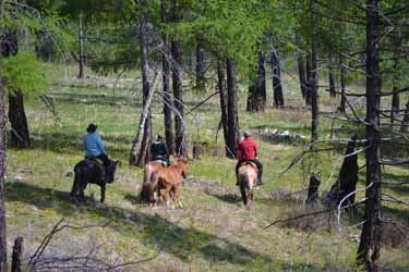 Rando Cheval Mongolie - Voyage, trekking et randonnée