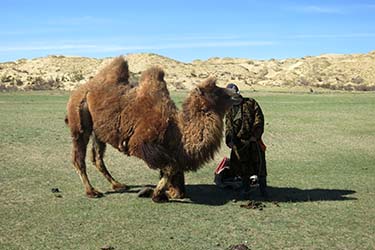 Rando Cheval Mongolie - Voyage, trekking et randonnée