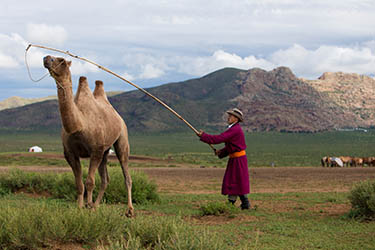 Rando Cheval Mongolie - Voyage, trekking et randonnée