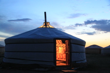 Rando Cheval Mongolie