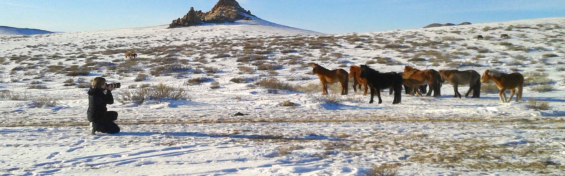 Voyage famille avec enfants en Mongolie