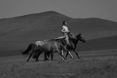 Voyage artistique en Mongolie : peinture, photo